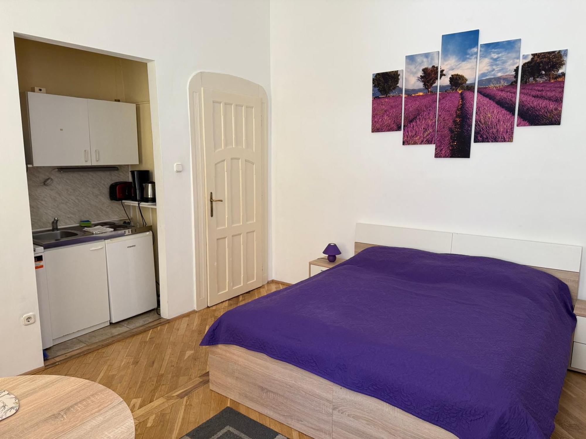 Little Hungary Apartment — Fotók 1